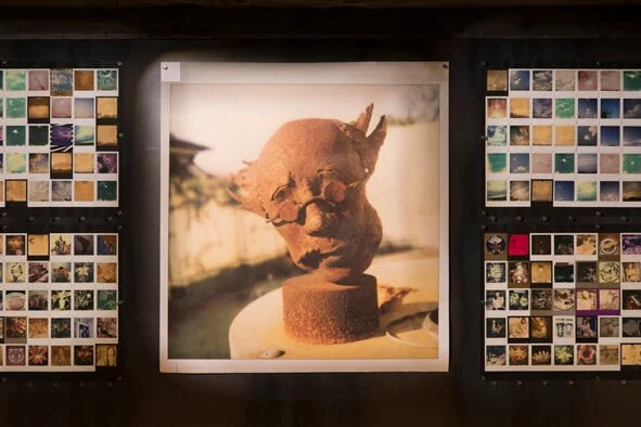 荒木経惟(Nobuyoshi Araki)|異色の経歴や代表作品について解説